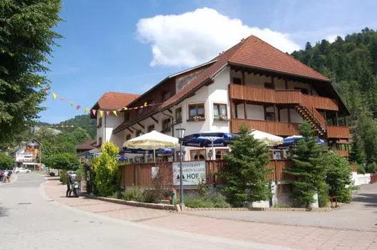 Hotelli Schwarzwälder Hof