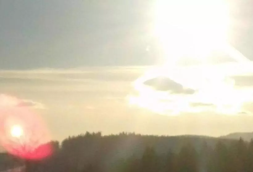 酒店 Sternen Anno 1769