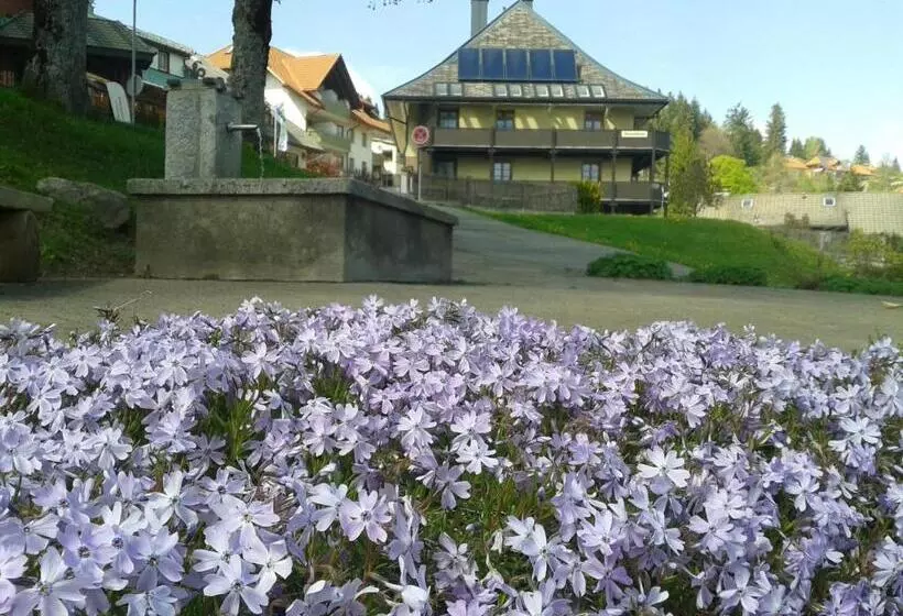 酒店 Sternen Anno 1769