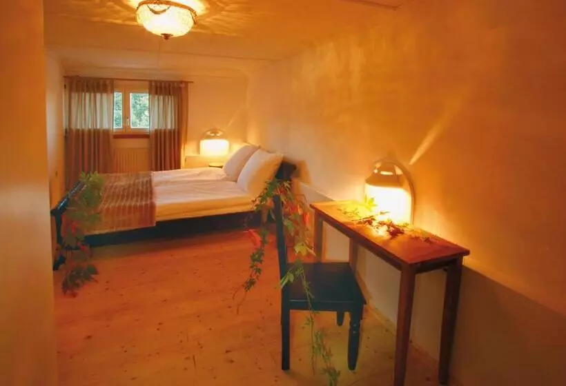 酒店 Sternen Anno 1769