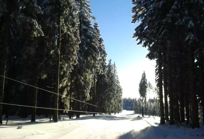 酒店 Sternen Anno 1769