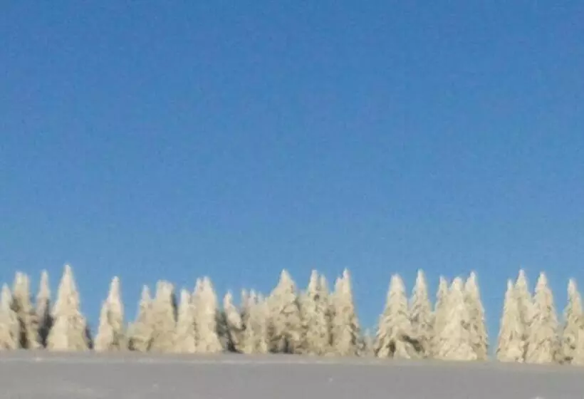 酒店 Sternen Anno 1769