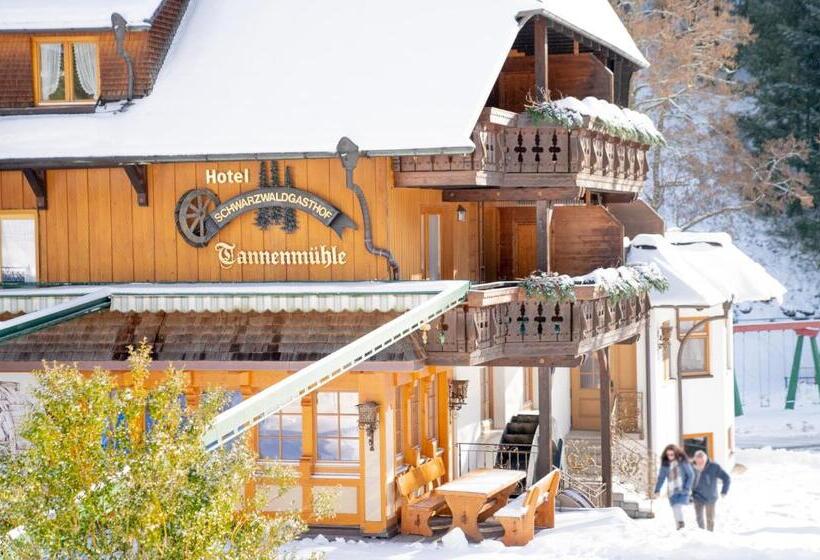 酒店 Tannenmühle
