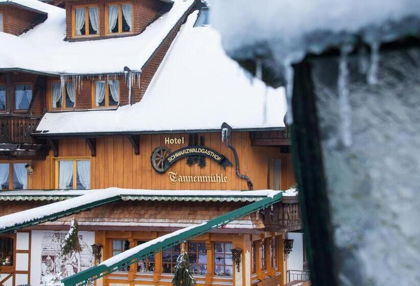 酒店 Tannenmühle