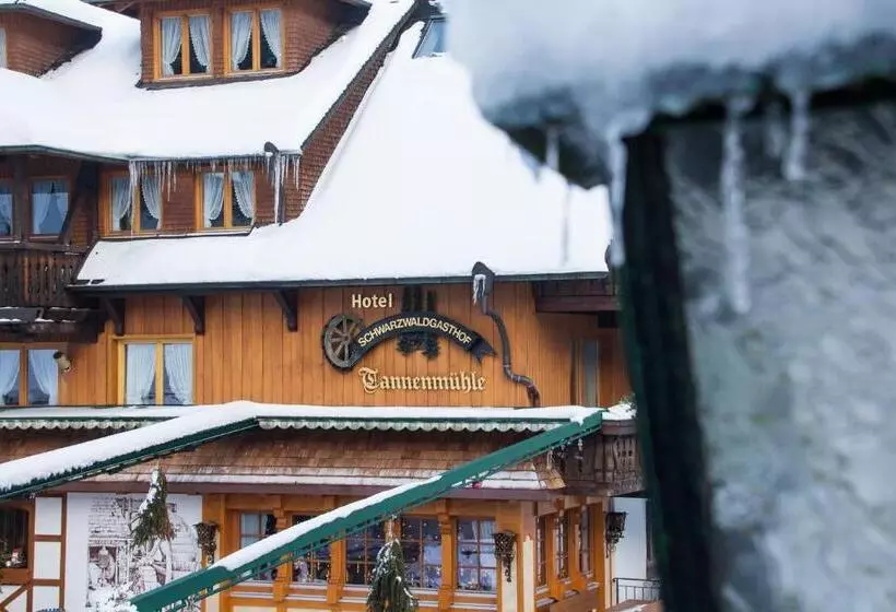 Hotel Tannenmühle