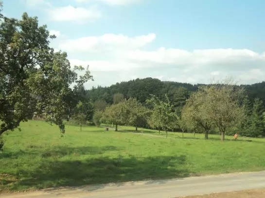 住宿加早餐  Zum Urberg Pension