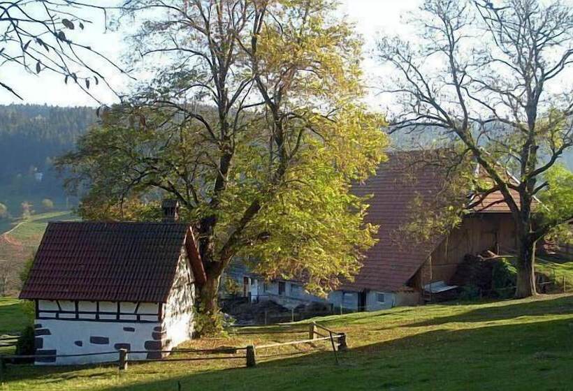 بنسيون Schwarzwaldgasthaus Linde