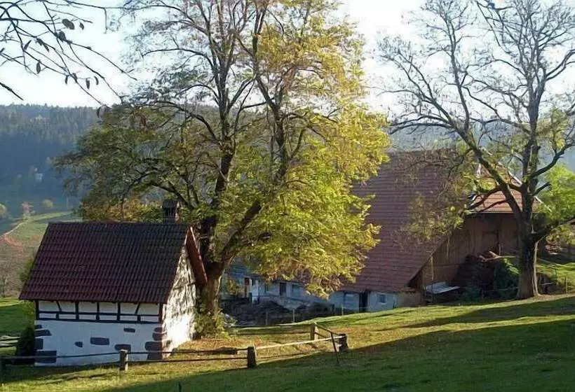 펜션 Schwarzwaldgasthaus Linde