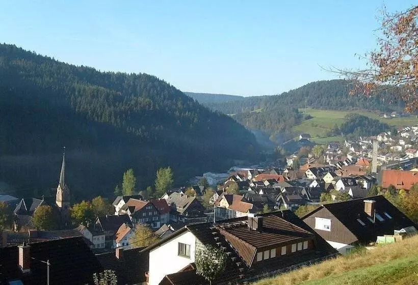 펜션 Schwarzwaldgasthaus Linde