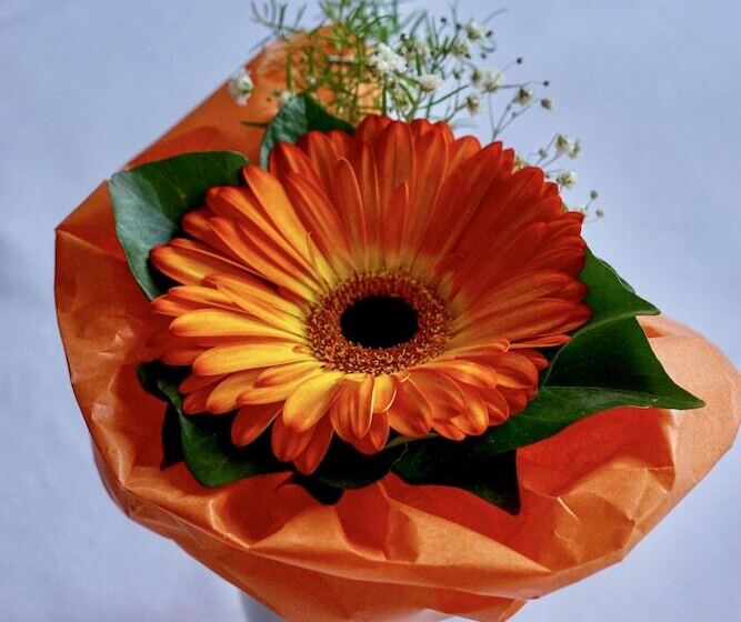 بنسيون Schwarzwaldgasthaus Linde