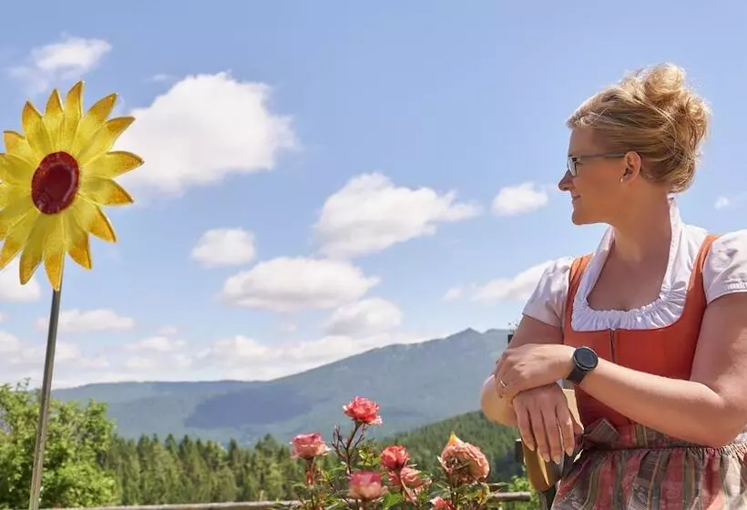 Пансион Wander Und Aktiv Hotel Rösslwirt