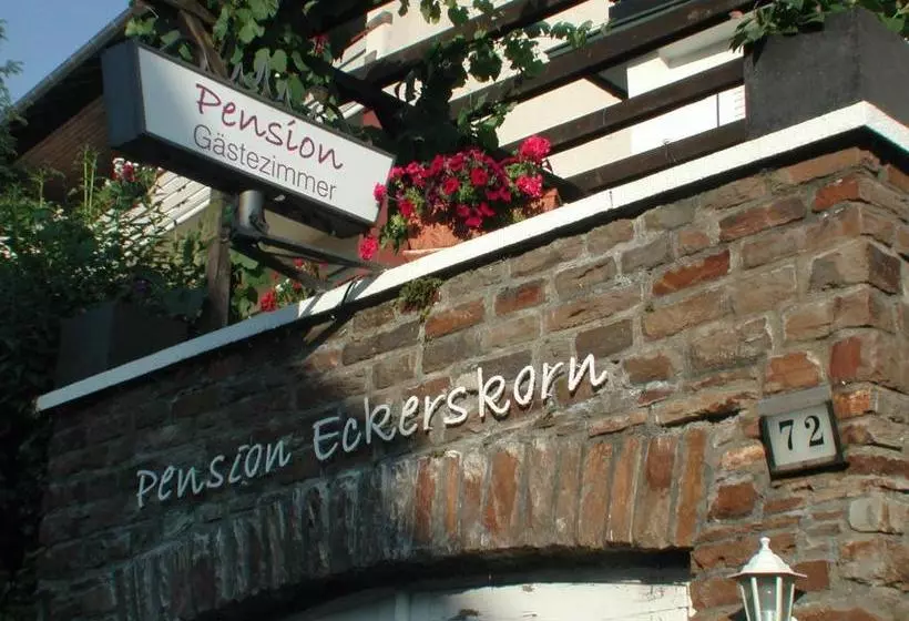 민박 Pension Eckerskorn