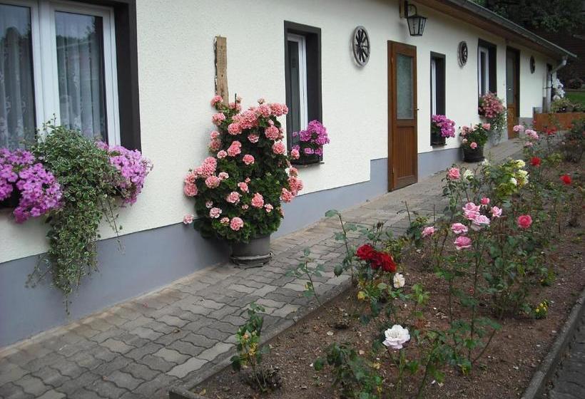 مبيت وإفطار Pension Möhring