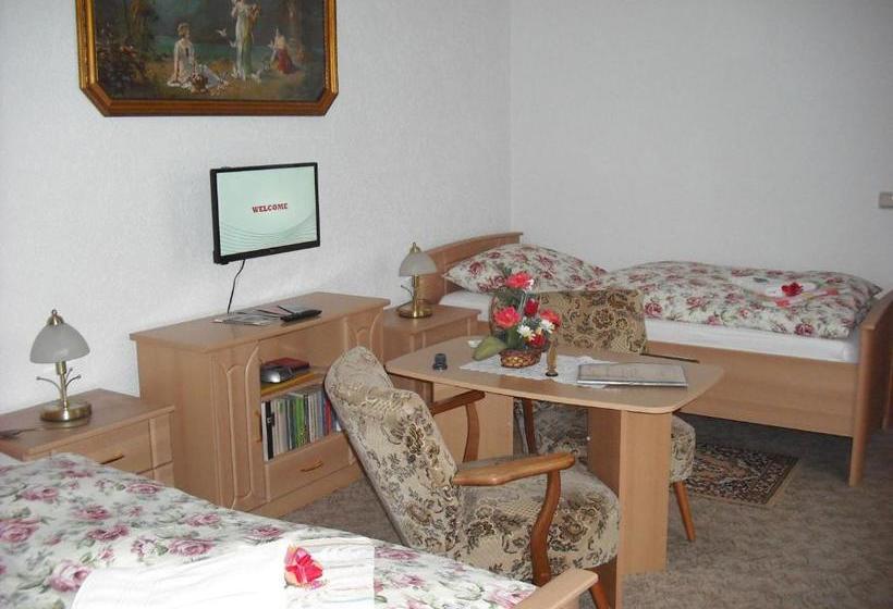 مبيت وإفطار Pension Möhring