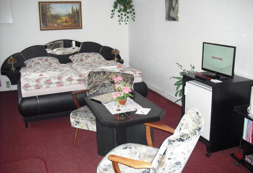 مبيت وإفطار Pension Möhring