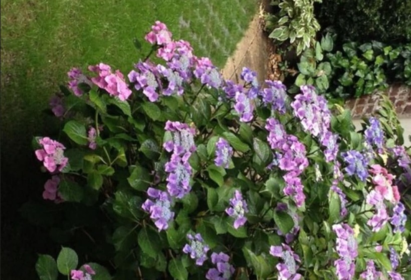 בית מלון כפרי Am Hofgarten