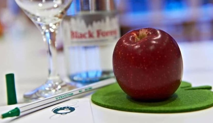 בית מלון כפרי Am Hofgarten