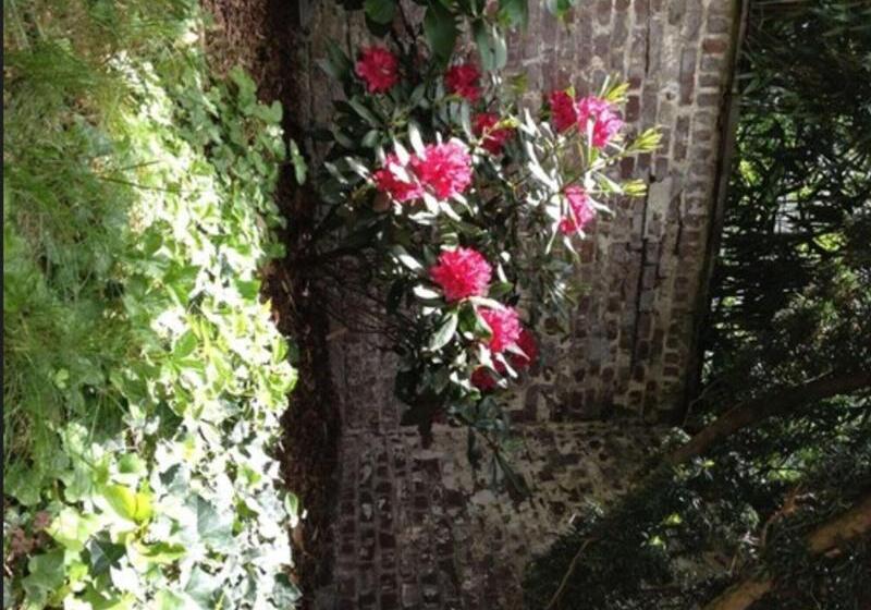 בית מלון כפרי Am Hofgarten