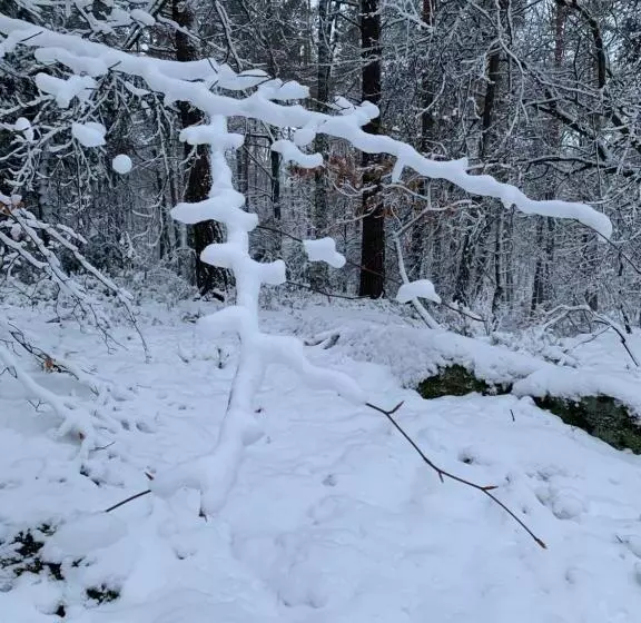 Отель Bettelhaus