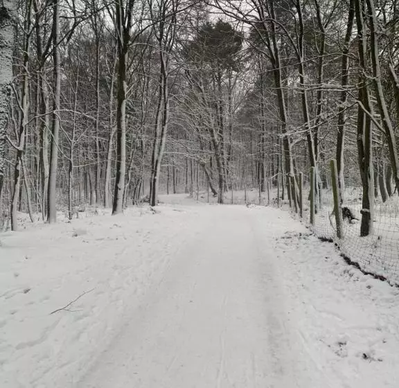 Отель Bettelhaus