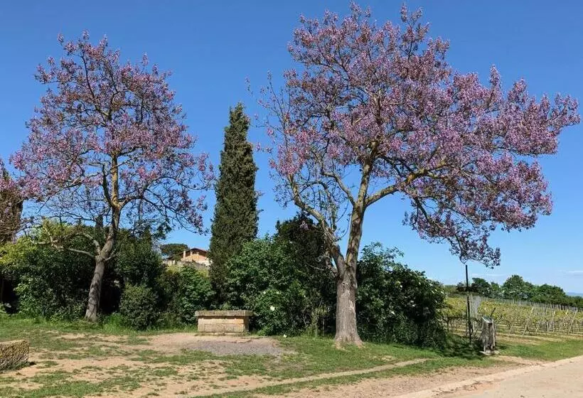 Отель Bettelhaus