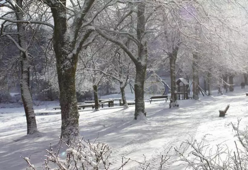 Отель Haus Am Karpfenteich