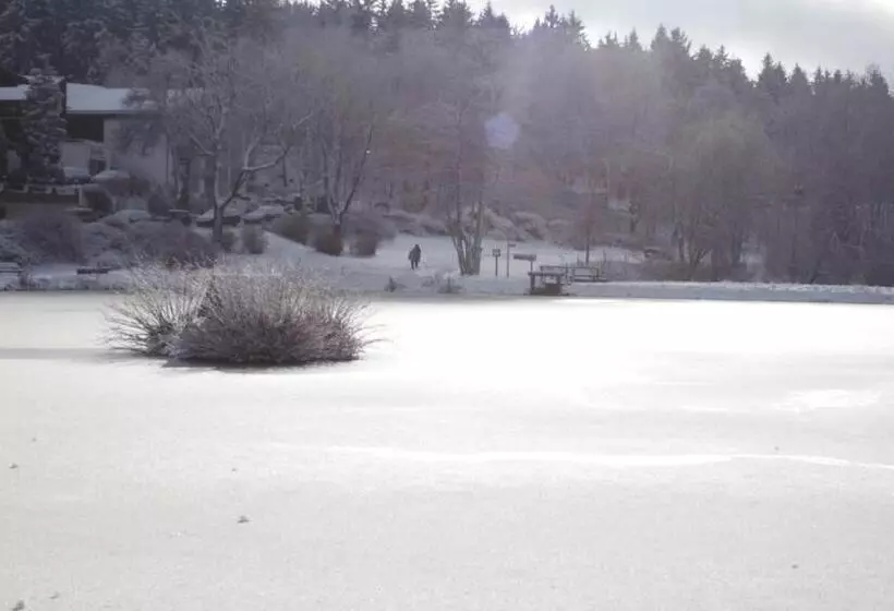 Отель Haus Am Karpfenteich