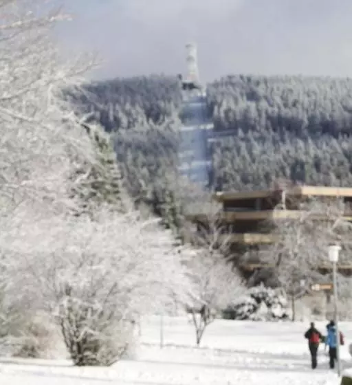 Отель Haus Am Karpfenteich