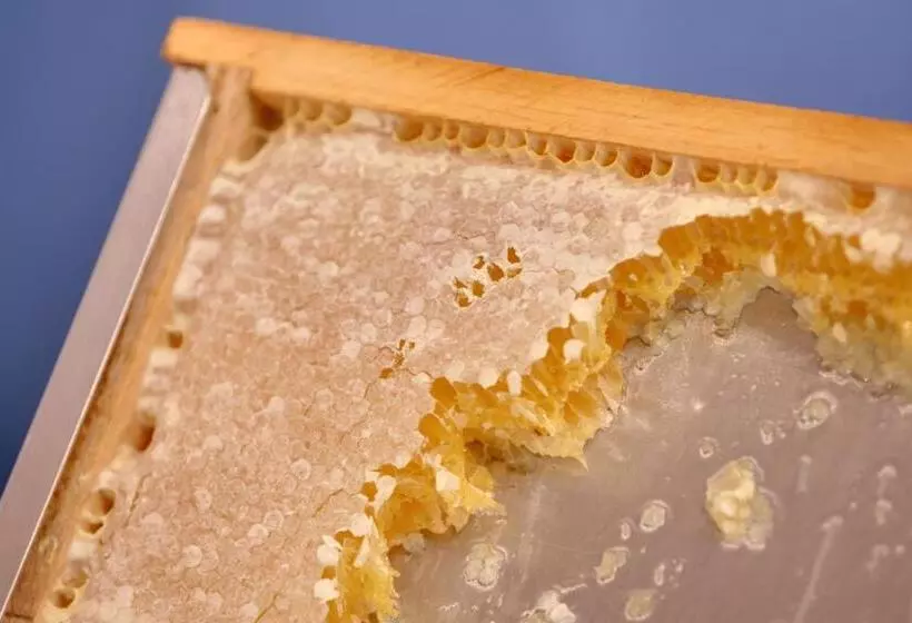 Отель Hansens Haus Am Meer