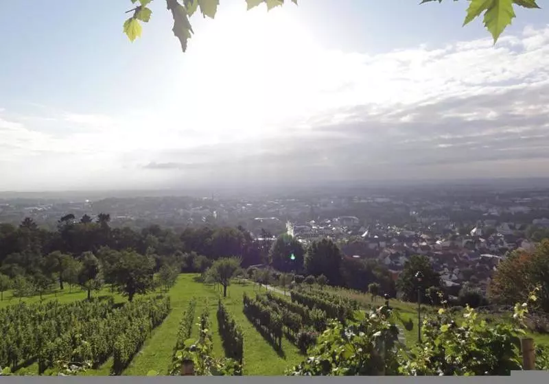 호텔 Café Restaurant  Johannisberg