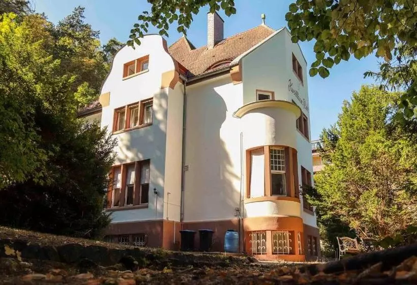 酒店 Kurvilla Am Park