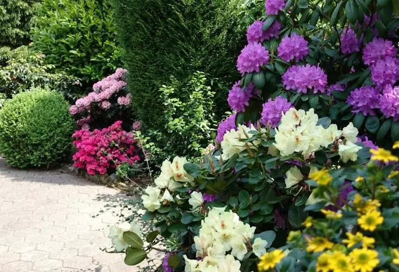 ホテル Villa Verde