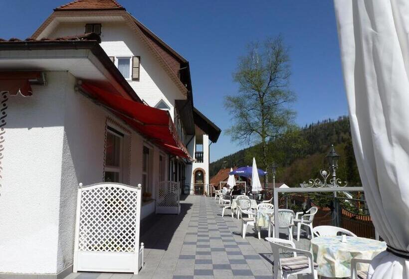 Отель Waldschlösschen