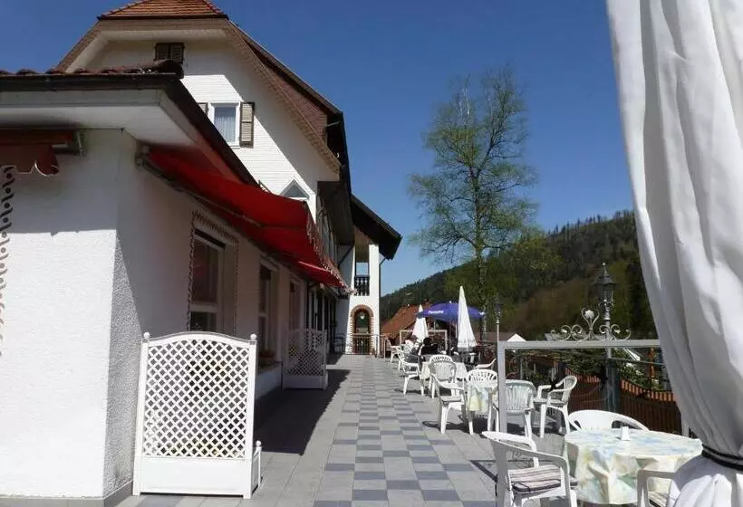 酒店 Waldschlösschen