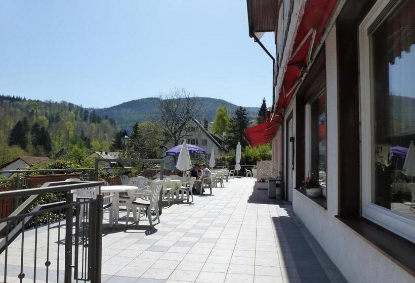 Отель Waldschlösschen