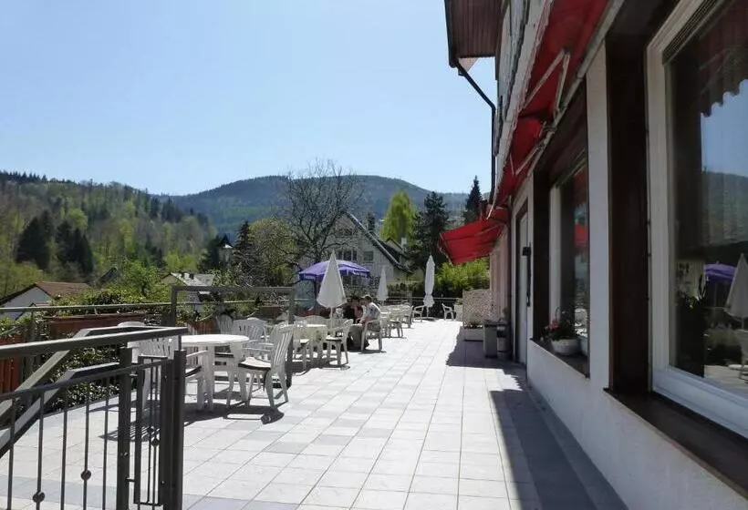 酒店 Waldschlösschen