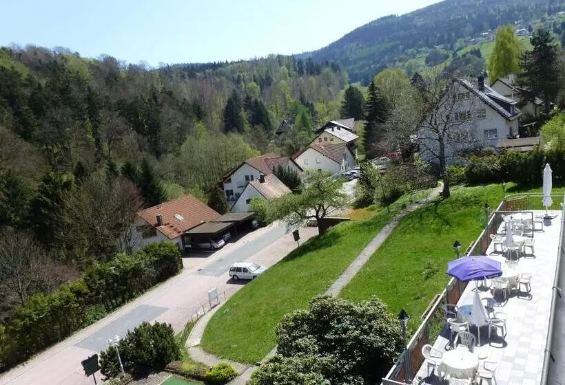 酒店 Waldschlösschen