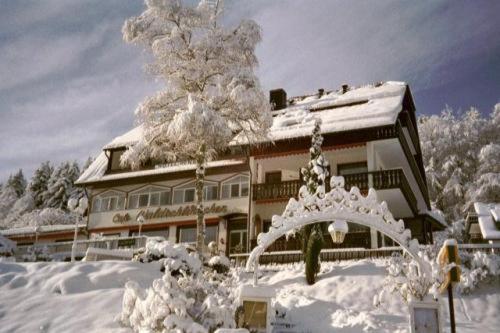 Отель Waldschlösschen