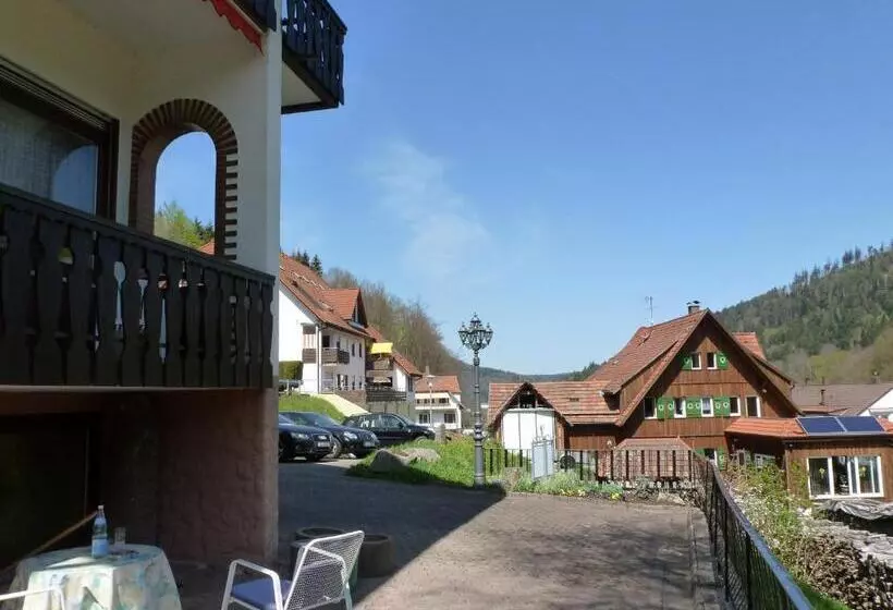 酒店 Waldschlösschen