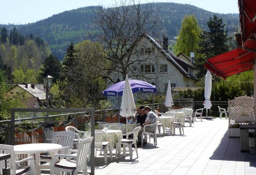 Отель Waldschlösschen