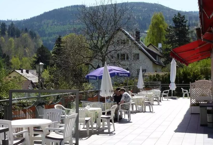 酒店 Waldschlösschen