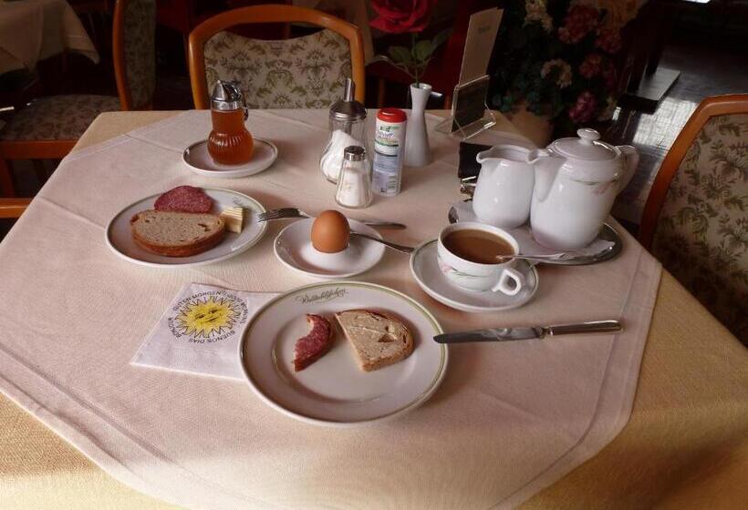 Отель Waldschlösschen