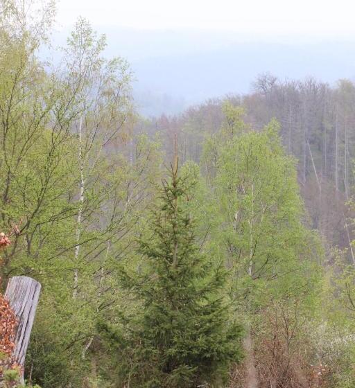 فندق Weißes Roß