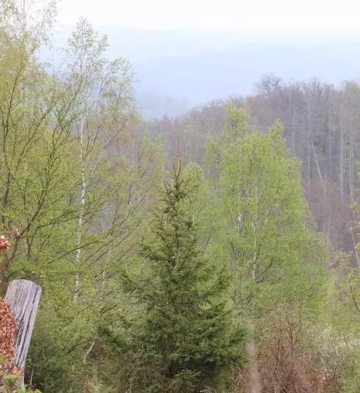 Отель Weißes Roß