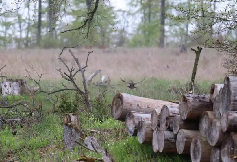 Отель Weißes Roß