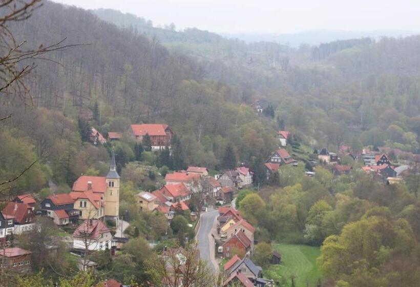 فندق Weißes Roß