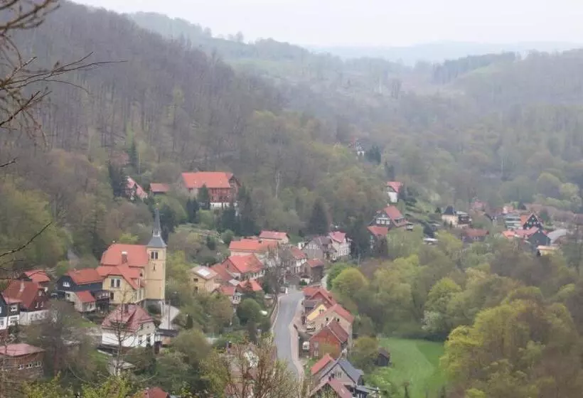 Отель Weißes Roß