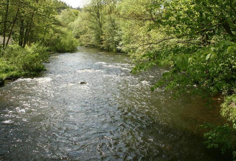 فندق Weißes Roß