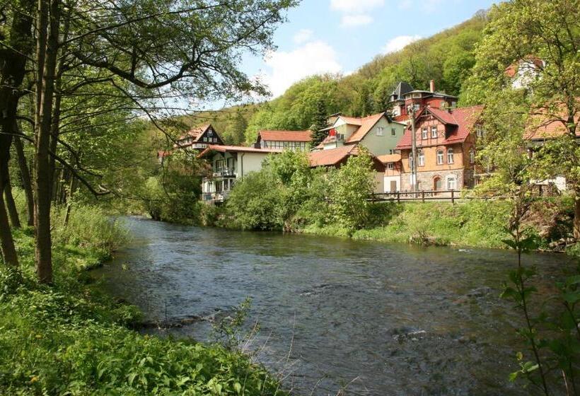 فندق Weißes Roß