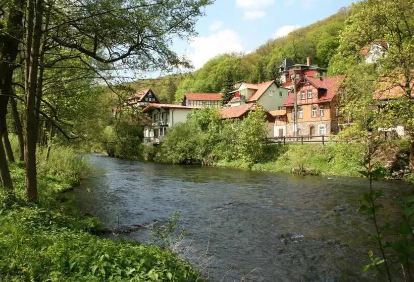 Отель Weißes Roß